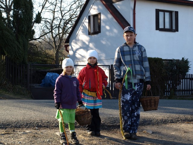 koledníci